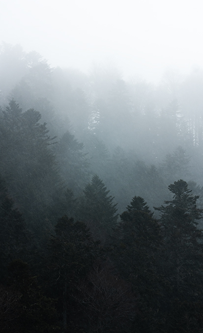 Paysage Pyrénées sapins randonnée — FRAME vidéaste photographe droniste Corporate Toulouse